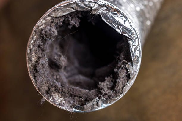 Best Professional Duct Cleaning Services  in North Charleroi, PA